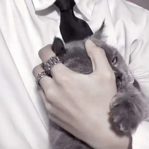  超酷男生多人组头在星河清浅的梦里你坠入我的梦里.