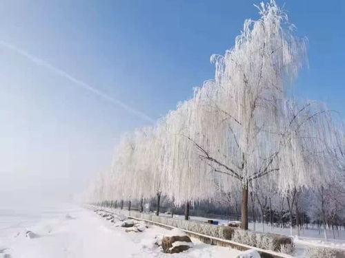 当伊通河遇上雾凇,仙气十足的长春美得不像话高清壁纸附上