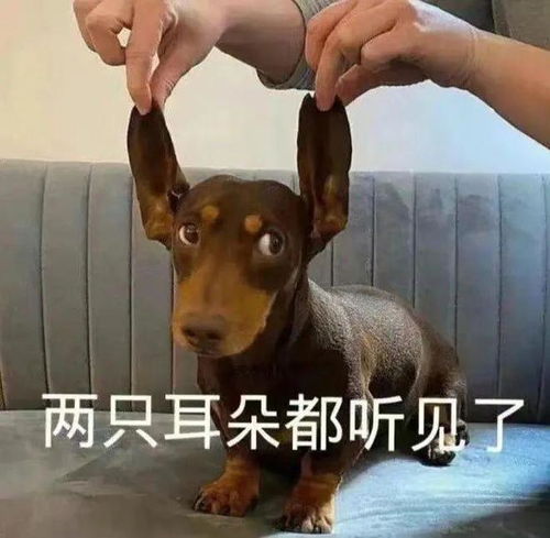  除了干涉选嫂子,现在连正常合作女搭档都要搞血洗评论区了是吧