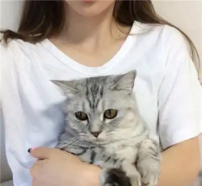  猫咪为什么会对着主人放屁它是不喜欢我吗