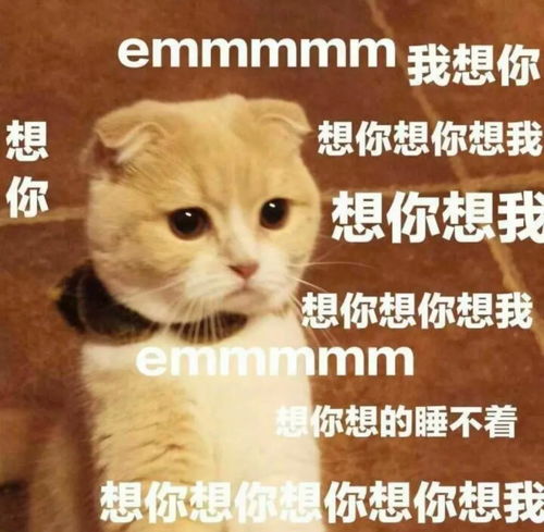 可爱猪猪头像合集表情