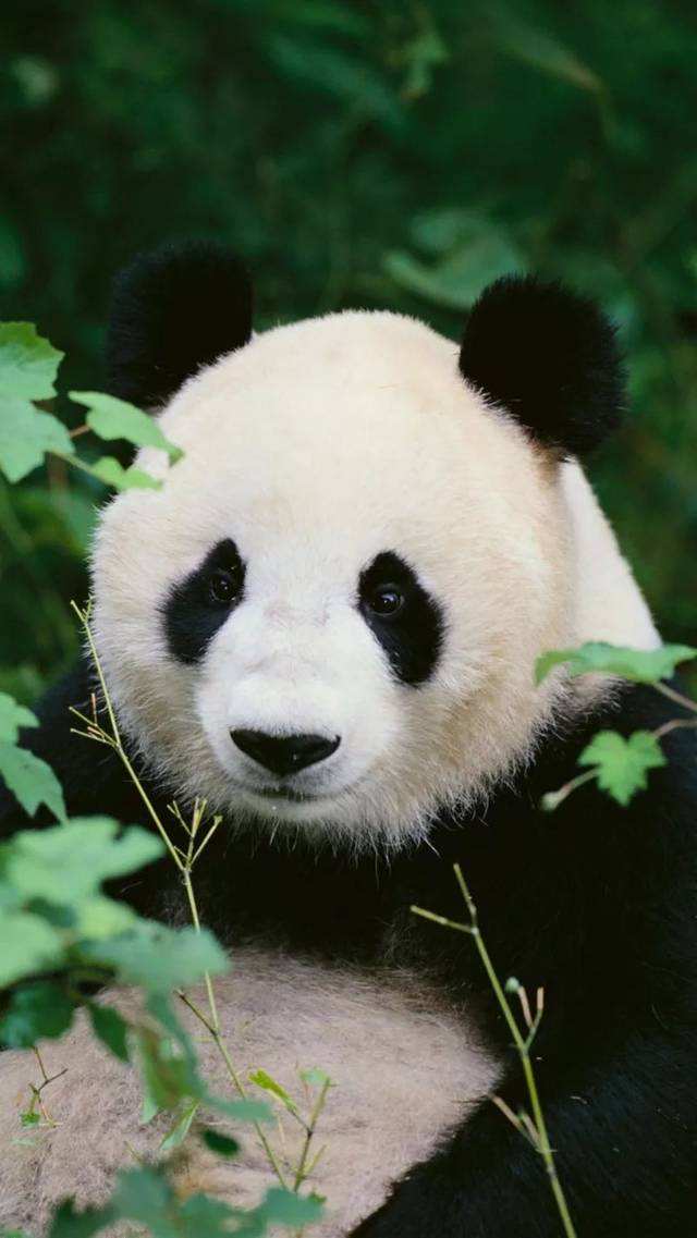 墨染流年时,可以点亮心灯,红袖添香感情人生一个人