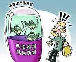  月月315丨南昌市民生领域执法办案铁拳行动十大典型案例