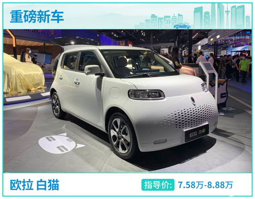  萌宠驾到7.58万起还带主动刹车,欧拉白猫成都车展实拍