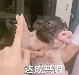  精子畸形会导致胎儿畸形吗答案竟然是.