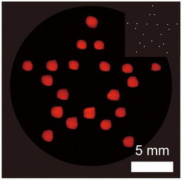  生物智造中国上海科学家打一束光,让细菌打工画纳米电路