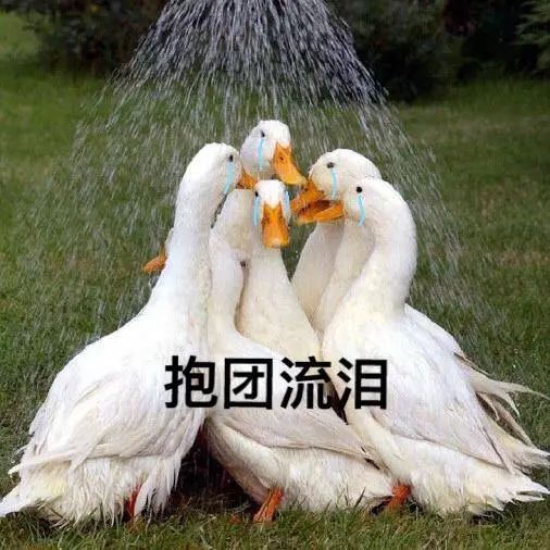  还在感慨穿短袖过冬至又变脸啦第一波冷空气已到达