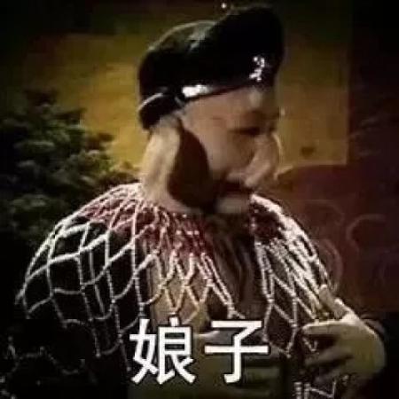  沙雕情头搞笑,数量多动物人物都有