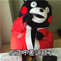  熊本熊搞怪带文字的表情包你为什么会成为胖纸