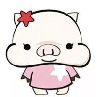  2019发财猪头像微信头像图片大全