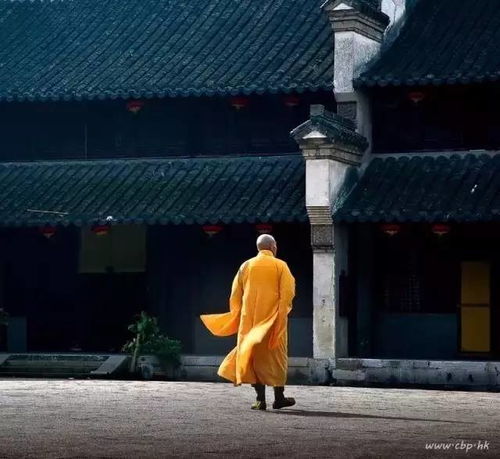  人生本过客,何必千千结