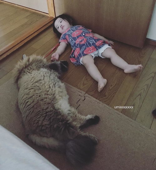  爱你就是要躺一起猫哥哥与人类妹妹的相爱故事