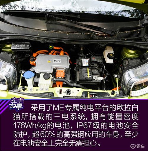  猫系青年的欧拉白猫深度吸猫指南