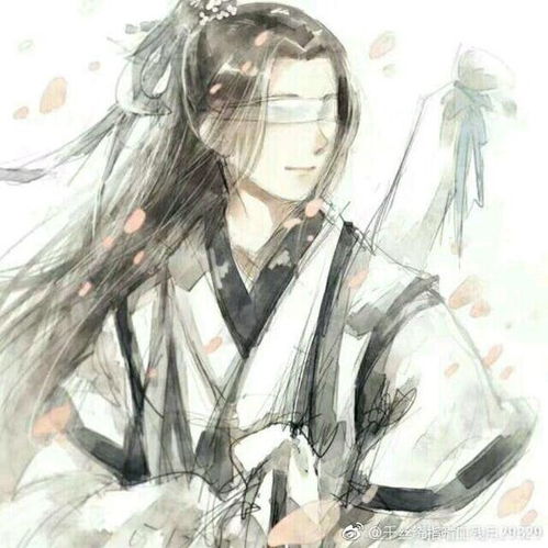  有一个蒙着眼睛,和道士有关的,这是什么漫画