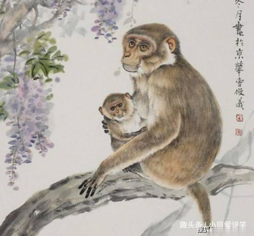  属猴人,未来几天好运将临,来看看吧