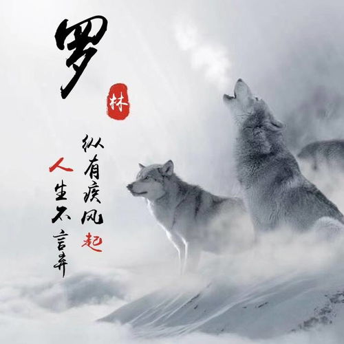  微信头像精选35张个性质感签名头像,特意为你挑选,请查收