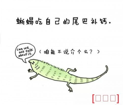  有哪些类似竹子不是树和鸭嘴兽下蛋却是哺乳动物的小知识