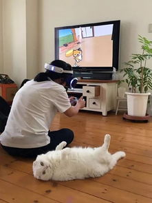  推主在很专注的在玩猫咪后院的vr游戏,结果被家里猫发现后...