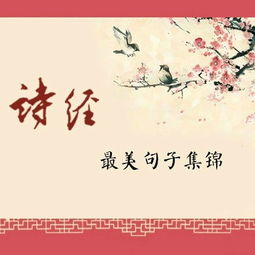  诗经中最美的32句话,句句生香