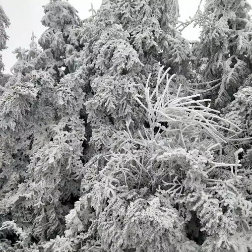  隆回绝美雪景欣赏