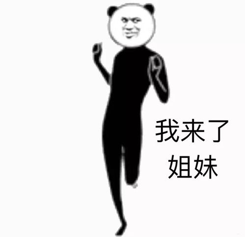  第四届精英技能大赛