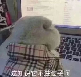  开学多发力,领跑一学期全城0元抢学位
