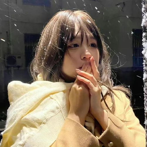  适合冬季用的ins风格宝藏头像