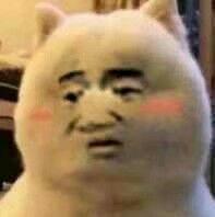  男生头像,傻吊又可爱的那种,有没有