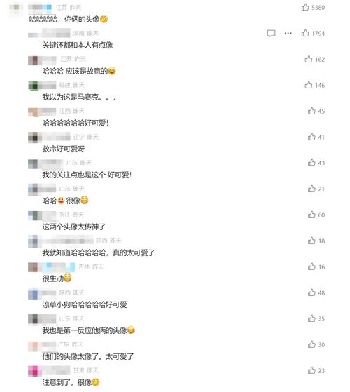  余华给莫言投稿一篇10万,网友关注起了两人微信头像