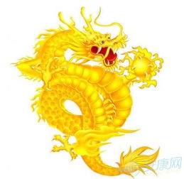  2000年属龙的人2017年运程大全及破解