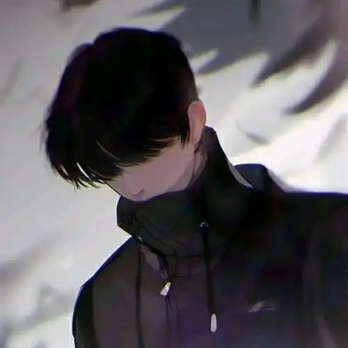  带有强烈白冉审美的男头hhh