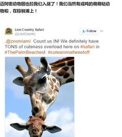  新闻也搞笑8那些活在我硬盘中的逗比国家