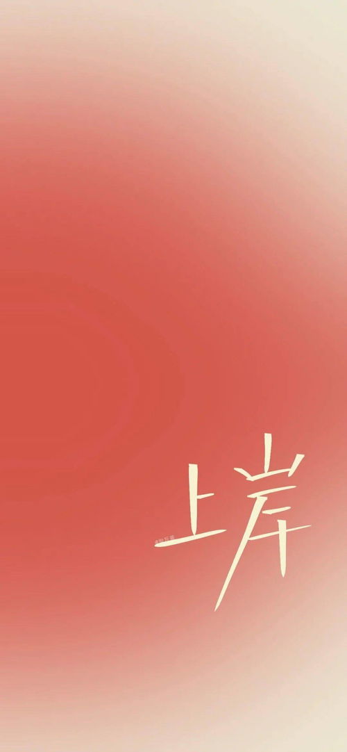  全面屏壁纸我i了