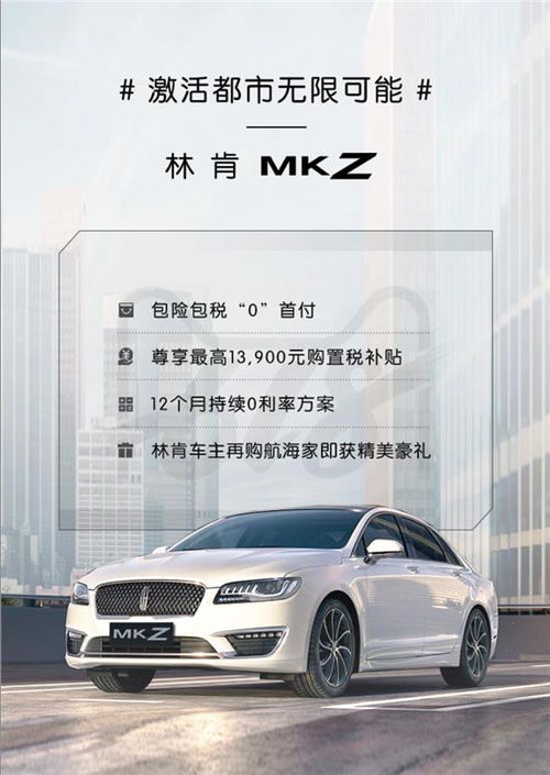  福瑞林肯中心