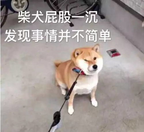  换个头像也可能侵权你知道吗