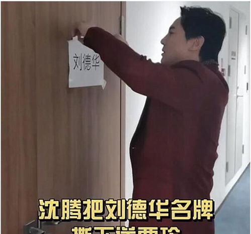  刘德华最牛的女粉丝为了追星,把自己追成了30亿导演