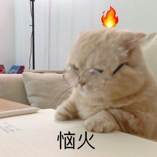  上半年省考难度盘点这些省份的出题人好像和考生有仇