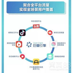  深圳黄页88网