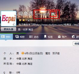  如何在网页上查看自己的qq是绑定什么邮箱,最好有截图谢谢