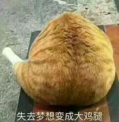  宽塘蛙哥虾妹赛格国际店
