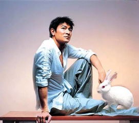  人物周润发为她自杀,刘德华为她下跪,传过同性恋,接演三级片,婚变后被传出家,如今的她怎么样了搜狐