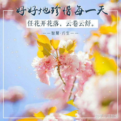  一个人的心态决定了一个人的人生