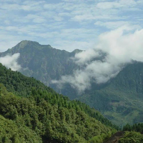  秋高气爽,正是登高好时机余杭及周边的这几座山峰,你最想征服谁