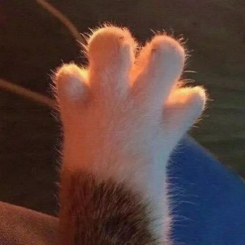 今日记爱是永不止息