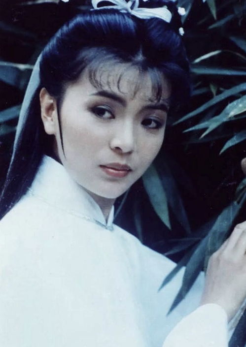  刘德华与陈玉莲久违同框,杨过与小龙女时隔35年再拥抱
