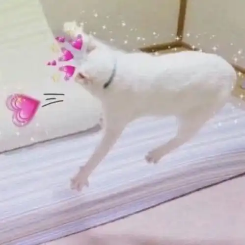 12句暗示我喜欢你的表白句子,第一眼就爱上,没人扛过第6句 12句暗示我喜欢你的表白句子,第一眼就爱上,没人扛过第6句