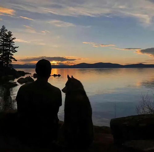 8张超帅的冷酷背影男生头像 8张超帅的冷酷背影男生头像