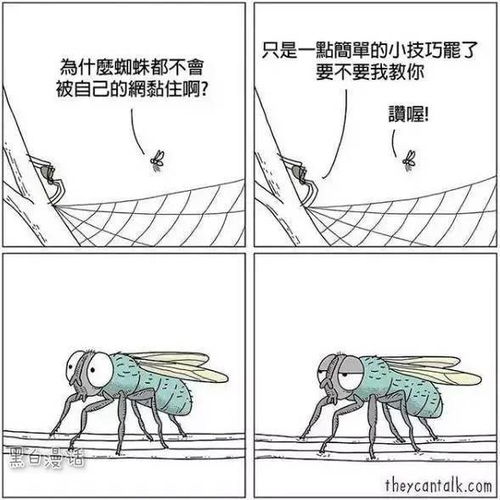  骗你没商量