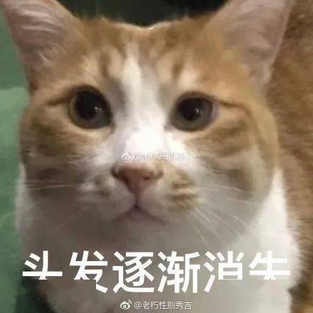  花木兰惨遭魔改迪士尼,你的良心不会痛吗