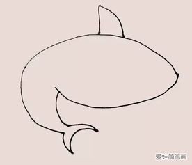  鲨鱼简笔画
